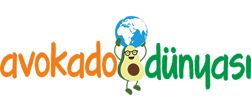 Avokado Dunyasi